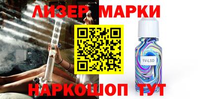 шишки Будённовск