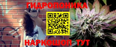 шишки Будённовск