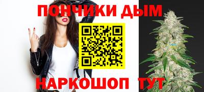 шишки Будённовск