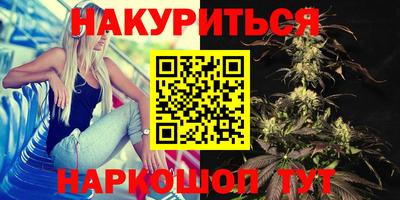 шишки Будённовск