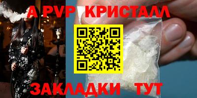 шишки Будённовск